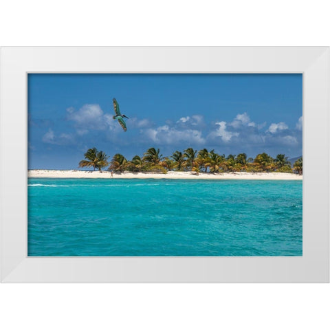 Caribbean-Grenada-Sandy Island Pelican flies over ocean shore White Modern Wood Framed Art Print by Jaynes Gallery