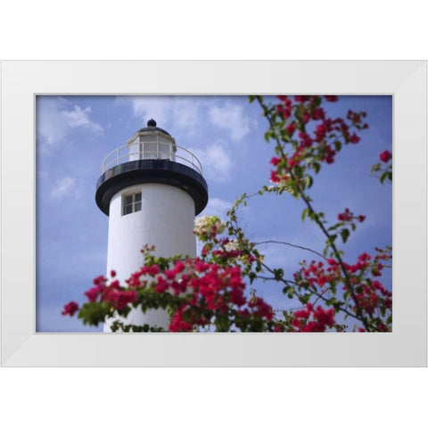 Puerto Rico, Viegues Island Coastal lighthouse White Modern Wood Framed Art Print by Flaherty, Dennis