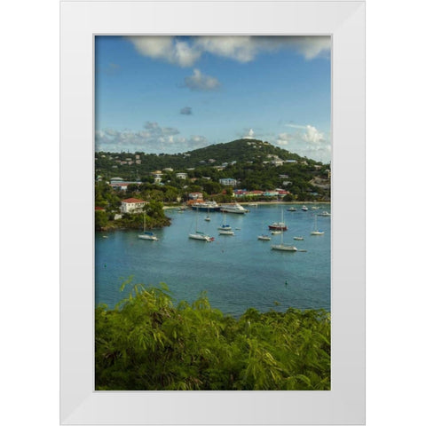 Caribbean, USA Virgin Islands, St John Cruz Bay White Modern Wood Framed Art Print by Illg, Cathy and Gordon