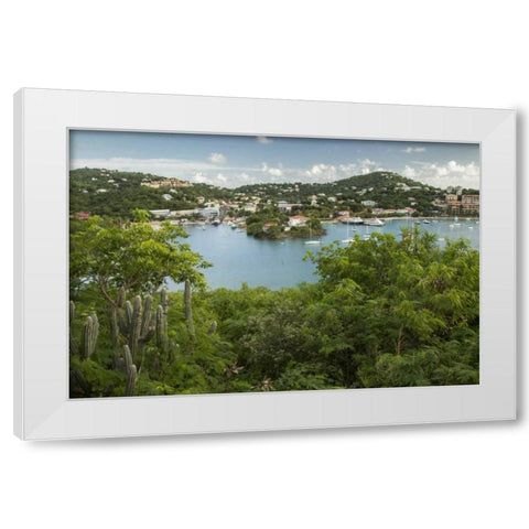 Caribbean, USA Virgin Islands, St John Cruz Bay White Modern Wood Framed Art Print by Illg, Cathy and Gordon