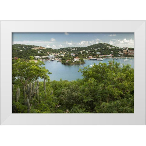 Caribbean, USA Virgin Islands, St John Cruz Bay White Modern Wood Framed Art Print by Illg, Cathy and Gordon