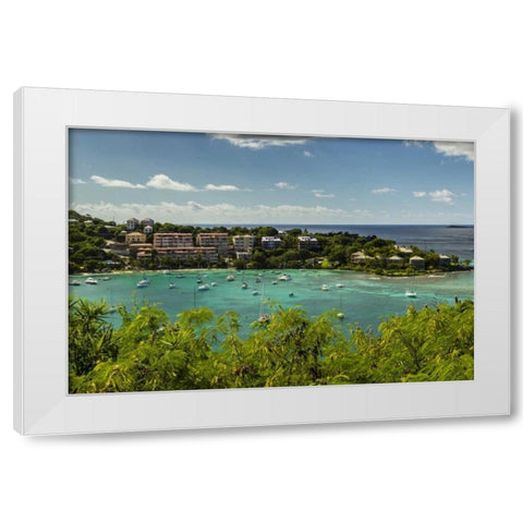 Caribbean, USA Virgin Islands, St John Cruz Bay White Modern Wood Framed Art Print by Illg, Cathy and Gordon