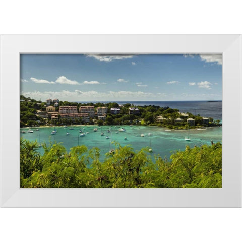 Caribbean, USA Virgin Islands, St John Cruz Bay White Modern Wood Framed Art Print by Illg, Cathy and Gordon