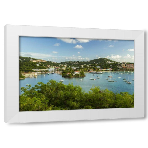 Caribbean, USA Virgin Islands, St John Cruz Bay White Modern Wood Framed Art Print by Illg, Cathy and Gordon