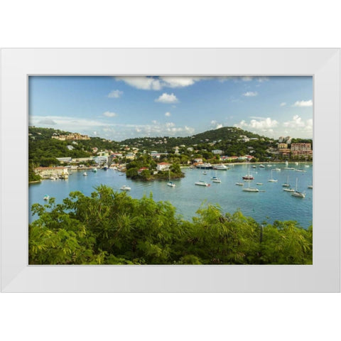 Caribbean, USA Virgin Islands, St John Cruz Bay White Modern Wood Framed Art Print by Illg, Cathy and Gordon