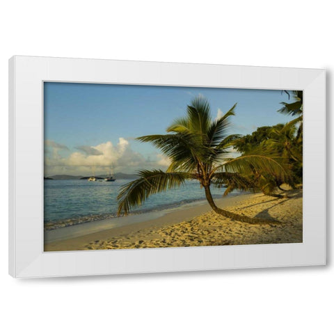 Caribbean, USA Virgin Islands Beach scenic White Modern Wood Framed Art Print by Illg, Cathy and Gordon