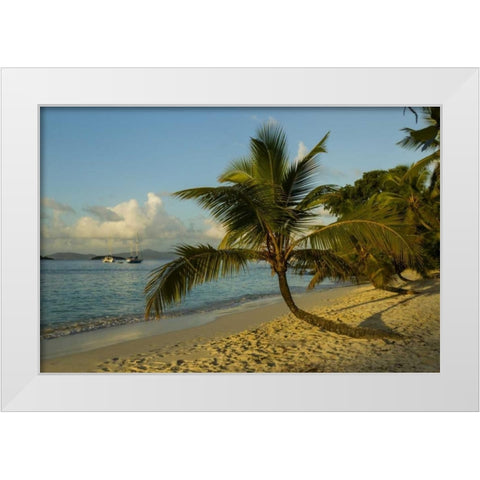 Caribbean, USA Virgin Islands Beach scenic White Modern Wood Framed Art Print by Illg, Cathy and Gordon