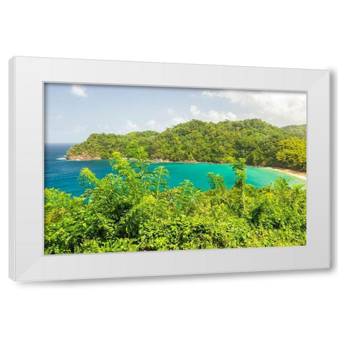 Caribbean-Tobago Ocean cove and jungle landscape  White Modern Wood Framed Art Print by Jaynes Gallery