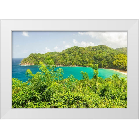 Caribbean-Tobago Ocean cove and jungle landscape  White Modern Wood Framed Art Print by Jaynes Gallery