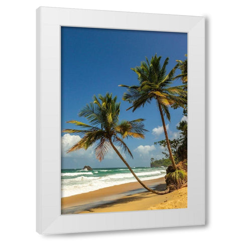 Caribbean-Trinidad-Blanchisseuse Bay Beach and ocean landscape  White Modern Wood Framed Art Print by Jaynes Gallery