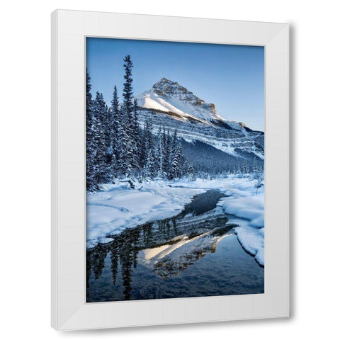Canada-Alberta-Jasper National Park-Tangle Peak reflected in Beauty Creek White Modern Wood Framed Art Print by Collins, Ann