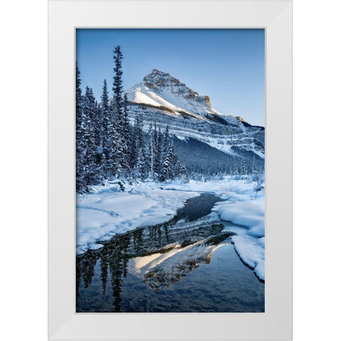 Canada-Alberta-Jasper National Park-Tangle Peak reflected in Beauty Creek White Modern Wood Framed Art Print by Collins, Ann