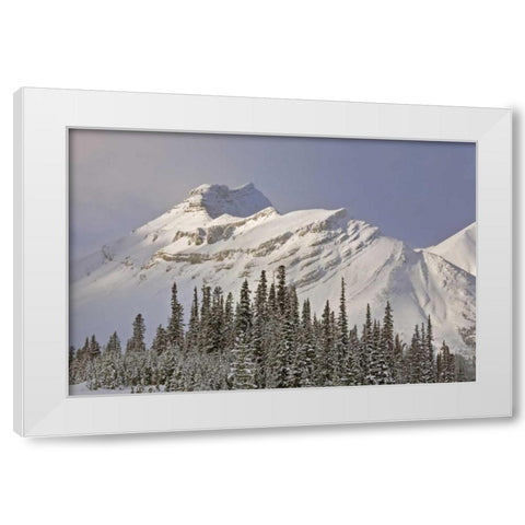 Canada, Alberta, Banff NP Summit of Nigel Peak White Modern Wood Framed Art Print by Grall, Don