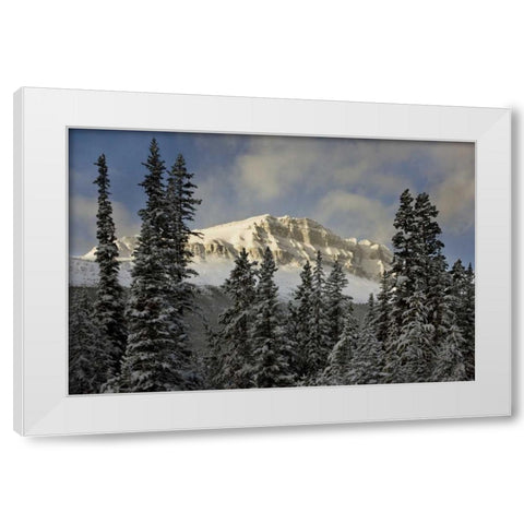 Canada, Banff NP Bow Peak after a snowstorm White Modern Wood Framed Art Print by Grall, Don