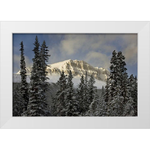 Canada, Banff NP Bow Peak after a snowstorm White Modern Wood Framed Art Print by Grall, Don