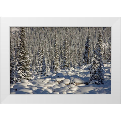 Canada, Alberta, Jasper NP Snowy rocks and trees White Modern Wood Framed Art Print by Grall, Don