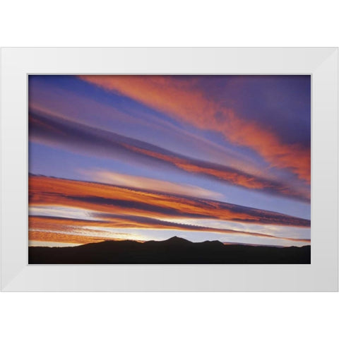 Canada, Alberta, Burmis Sunset over the Rockies White Modern Wood Framed Art Print by Grandmaison, Mike
