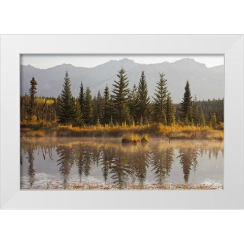 Canada, Alberta, Jasper NP Cottonwood Slough White Modern Wood Framed Art Print by Paulson, Don