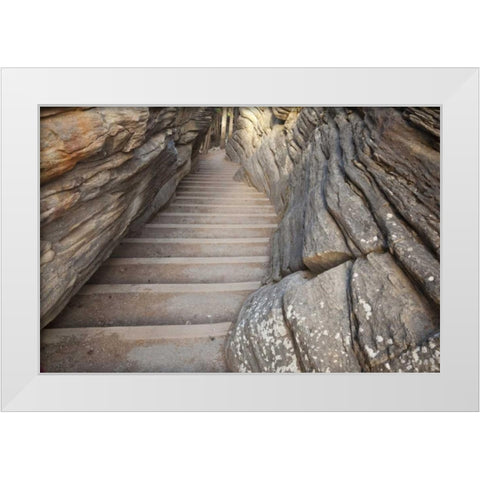 Canada, Alberta, Jasper NP Stairway on trail White Modern Wood Framed Art Print by Paulson, Don