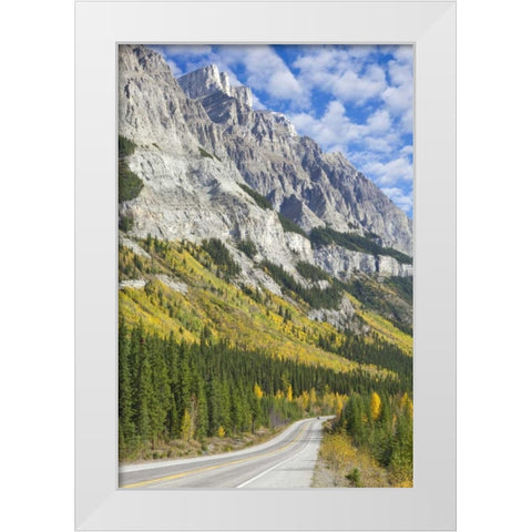 Canada, Alberta, Jasper NP The Icefields Parkway White Modern Wood Framed Art Print by Paulson, Don