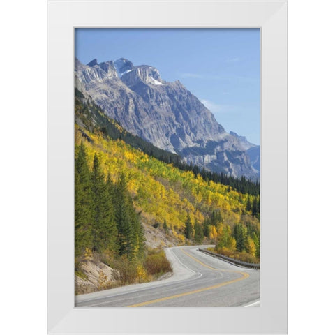 Canada, Alberta, Jasper NP The Icefields Parkway White Modern Wood Framed Art Print by Paulson, Don