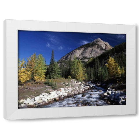 Canada, Alberta, Rampart Creek at Banff NP White Modern Wood Framed Art Print by Grandmaison, Mike