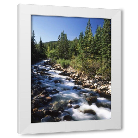 Canada, Alberta, mountain stream in Jasper NP White Modern Wood Framed Art Print by Grandmaison, Mike