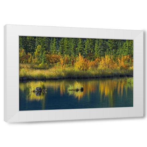 Canada, Banff NP Vermillion Lake in fall White Modern Wood Framed Art Print by Grandmaison, Mike