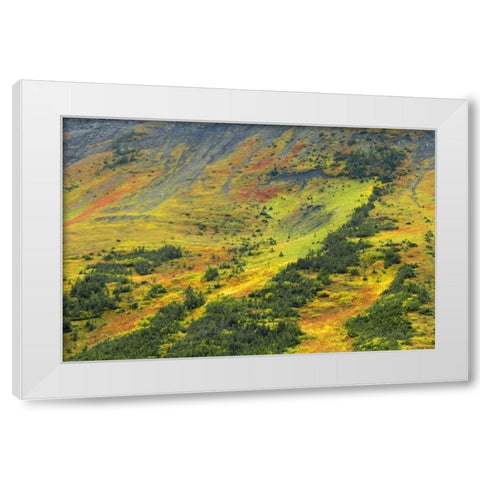 Canada, Alberta Autumn in the Canadian Rocky Mts White Modern Wood Framed Art Print by Grandmaison, Mike