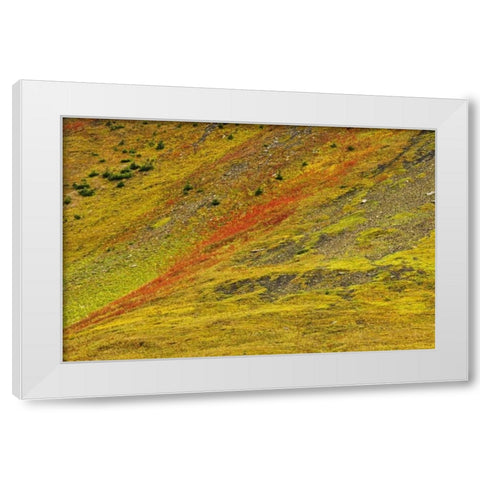 Canada, Alberta Autumn in the Canadian Rocky Mts White Modern Wood Framed Art Print by Grandmaison, Mike