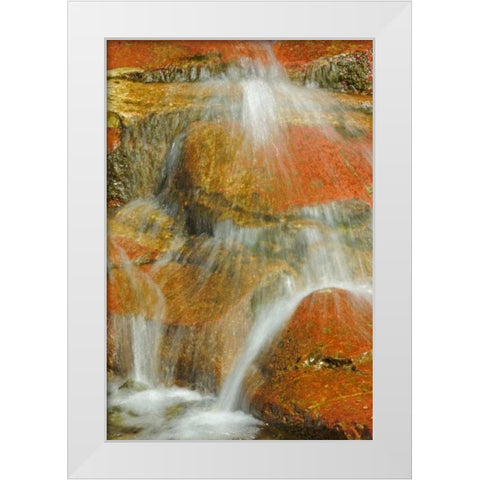 Canada, Alberta, Stream in Red Rock Canyon White Modern Wood Framed Art Print by Grandmaison, Mike