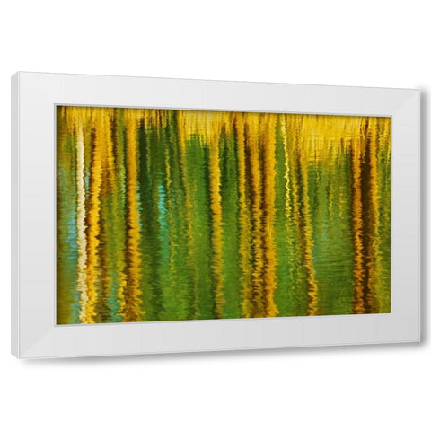 Canada, Alberta, Elk Island NP Aspen by a pond White Modern Wood Framed Art Print by Grandmaison, Mike