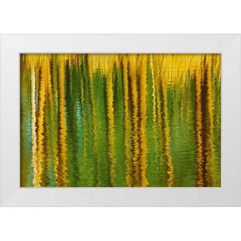 Canada, Alberta, Elk Island NP Aspen by a pond White Modern Wood Framed Art Print by Grandmaison, Mike