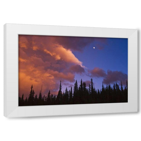 Canada, Alberta, Jasper NP Clouds over forest White Modern Wood Framed Art Print by Grandmaison, Mike