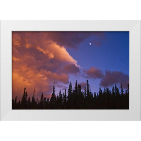 Canada, Alberta, Jasper NP Clouds over forest White Modern Wood Framed Art Print by Grandmaison, Mike
