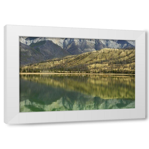 Canada, Jasper NP Reflection on Talbot Lake White Modern Wood Framed Art Print by Grandmaison, Mike