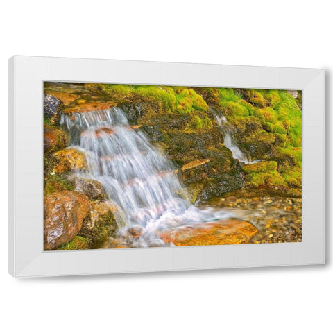 Canada-Alberta-Banff National Park Creek and waterfall scenic White Modern Wood Framed Art Print by Jaynes Gallery