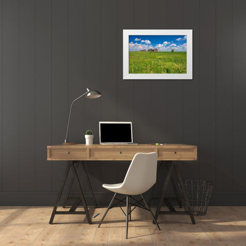 Canada-Alberta-Oyen Granaries in field of grass White Modern Wood Framed Art Print by Jaynes Gallery