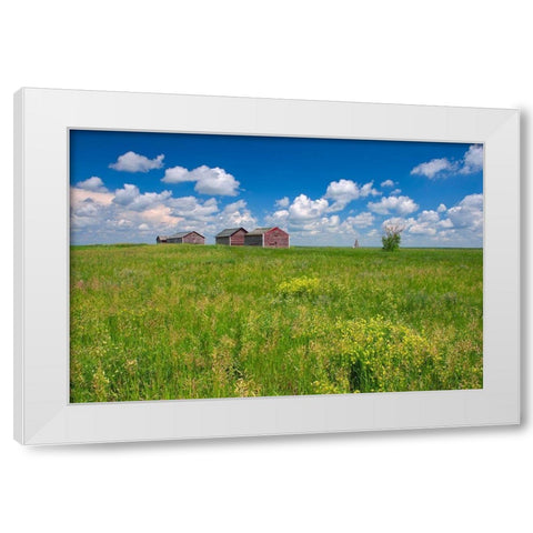 Canada-Alberta-Oyen Granaries in field of grass White Modern Wood Framed Art Print by Jaynes Gallery