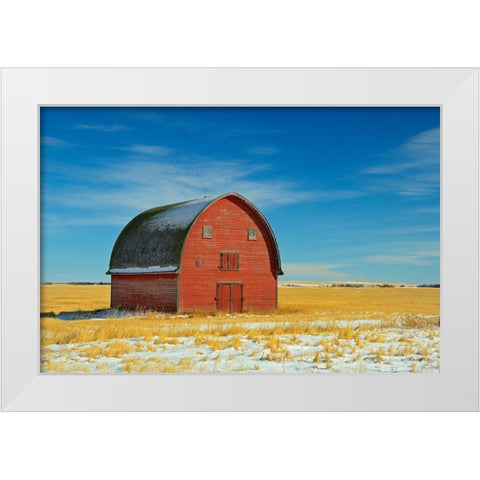 Canada-Alberta-Vulcan Red barn in winter White Modern Wood Framed Art Print by Jaynes Gallery