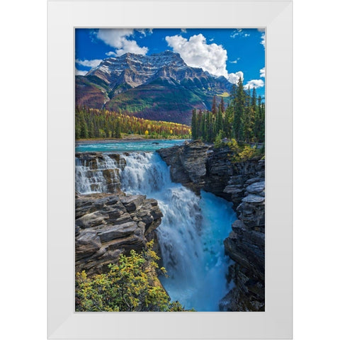 Canada-Alberta-Jasper National Park Athabasca River at Athabasca Falls White Modern Wood Framed Art Print by Jaynes Gallery