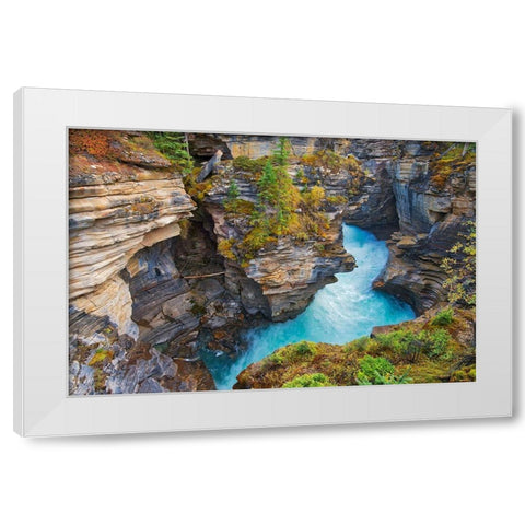 Canada-Alberta-Jasper National Park Athabasca River at Athabasca Falls White Modern Wood Framed Art Print by Jaynes Gallery