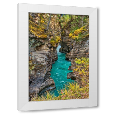 Canada-Alberta-Jasper National Park Athabasca River at Athabasca Falls White Modern Wood Framed Art Print by Jaynes Gallery