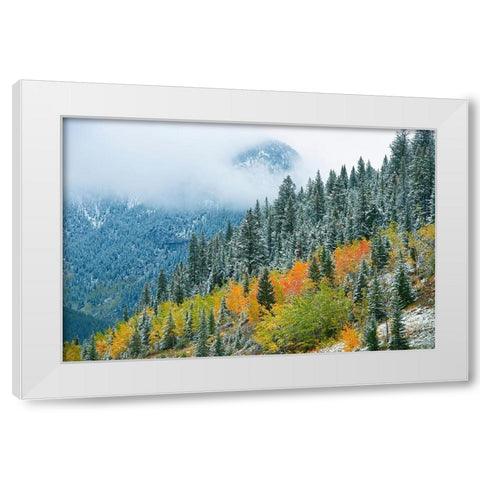 Canada-Alberta Fog in Canadian Rocky Mountains White Modern Wood Framed Art Print by Jaynes Gallery