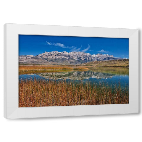 Canada-Alberta-Jasper National Park Reflections in Talbot Lake White Modern Wood Framed Art Print by Jaynes Gallery