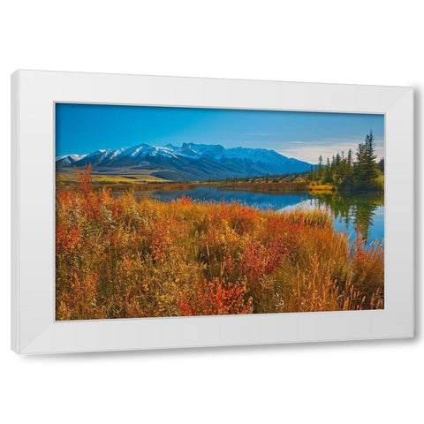 Canada-Alberta-Jasper National Park Reflections in Talbot Lake White Modern Wood Framed Art Print by Jaynes Gallery