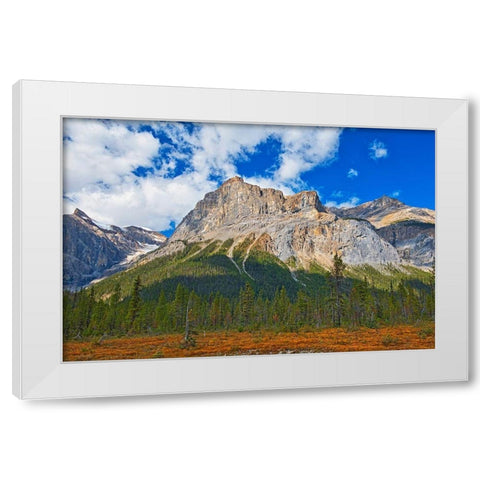 Canada-Alberta-Yoho National Park The President Range mountain landscape White Modern Wood Framed Art Print by Jaynes Gallery