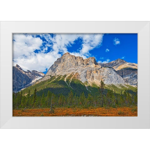 Canada-Alberta-Yoho National Park The President Range mountain landscape White Modern Wood Framed Art Print by Jaynes Gallery