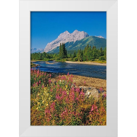 Canada-Alberta-Kananaskis Country Landscape with mountain-stream and fireweed flowers White Modern Wood Framed Art Print by Jaynes Gallery