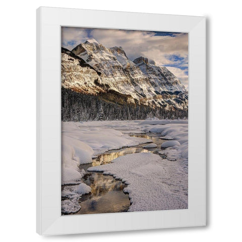 Winter in Jasper National Park-Alberta-Canada White Modern Wood Framed Art Print by Steve Mohlenkamp